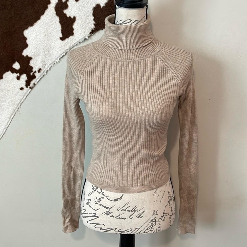 Back to the Basics Turtleneck Top - Oatmeal